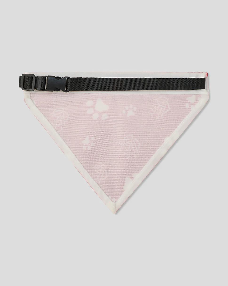 RANGERS RED PET BANDANA - Image 2